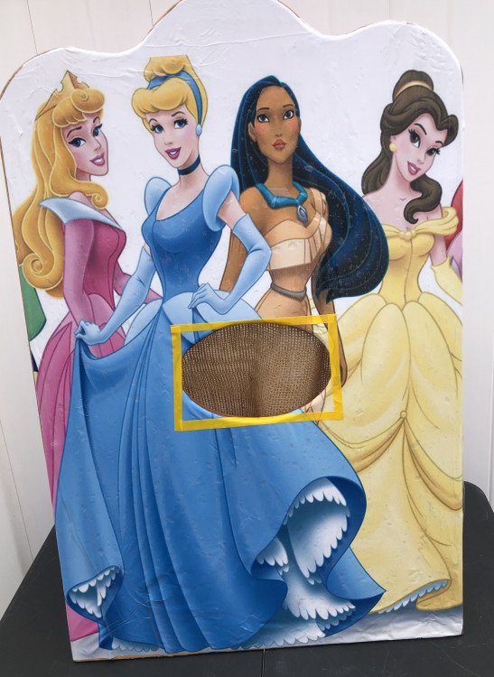 DISNEY PRINCESSES